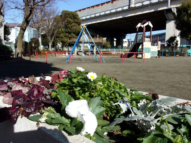 1/20 そとあそび～本村町第一公園～