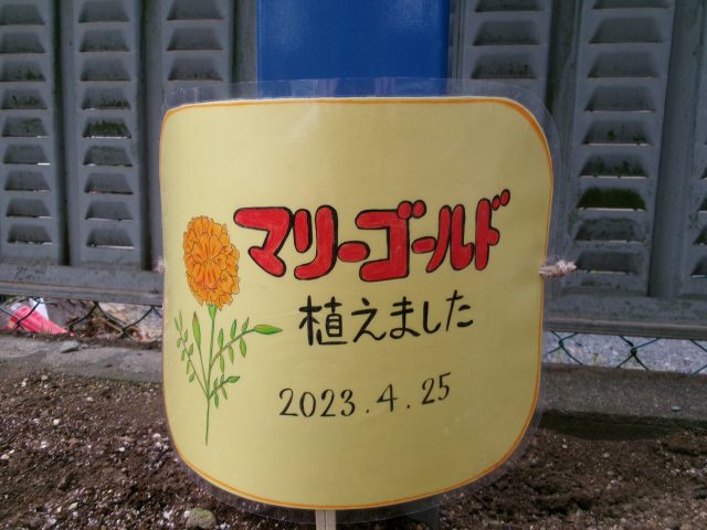 4/25 ひろばのつぶやき✐