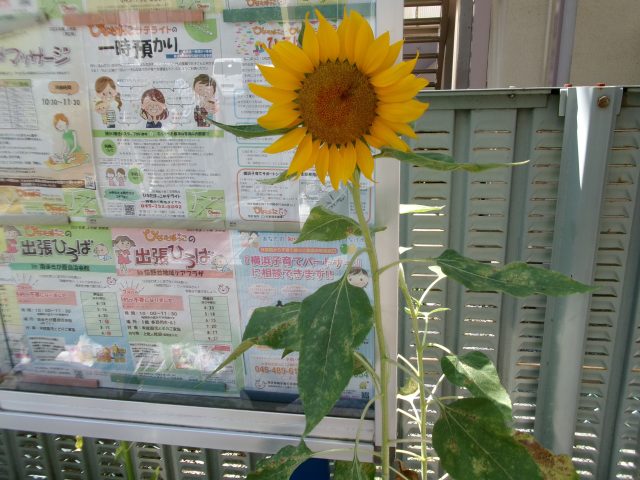 ひろばのつぶやき✐