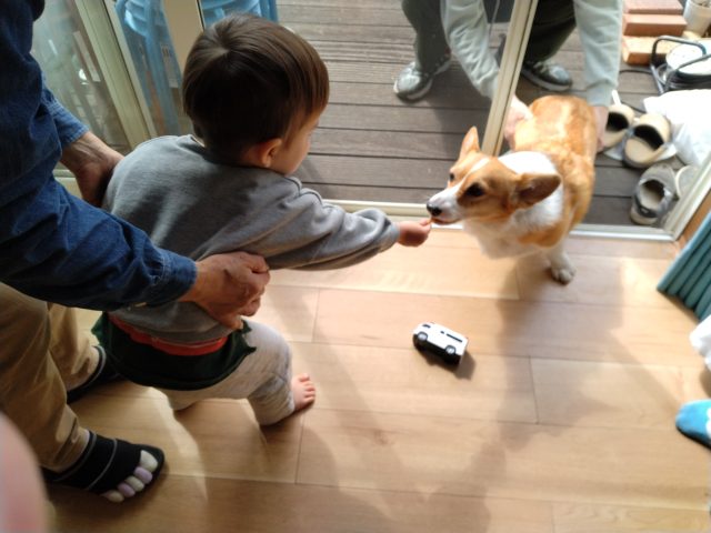 ひなたっぼっこサロン＠しおんカフェ☕💕