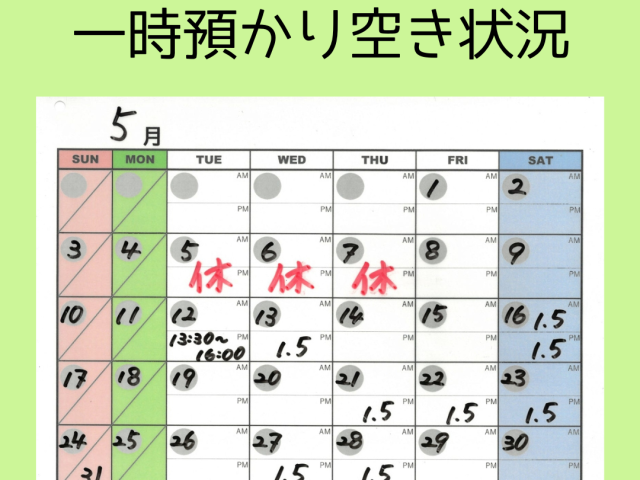 🌸一時預かり空き状況🌸　【5/2(土) 16:00現在】