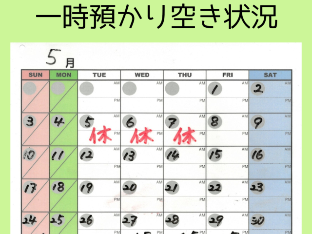 🌸一時預かり空き状況🌸　【5/23(土) 17:00現在】