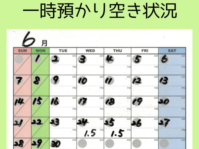 🌸一時預かり空き状況🌸　【6/16(火) 17:00現在】