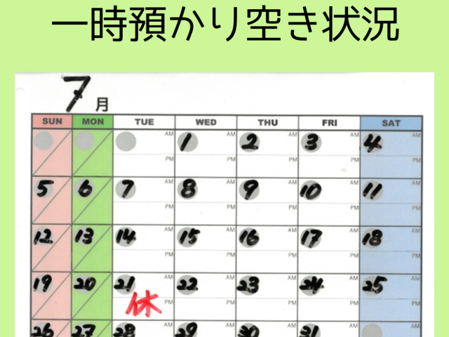 🌸一時預かり空き状況🌸　【7/8(水) 17:00現在】